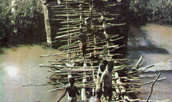Improvised bridge, Gile, Zambézia, 1989