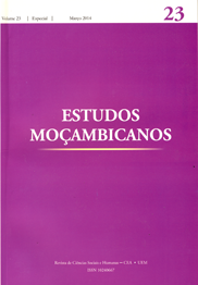 Cover of Estudos Mocambicanos, issue no.22