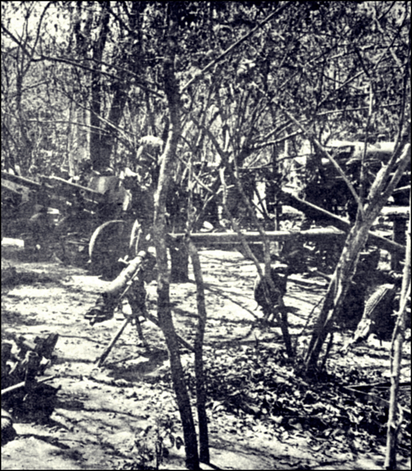 Heavy weaponry – artillery pieces – hidden amongst the trees.