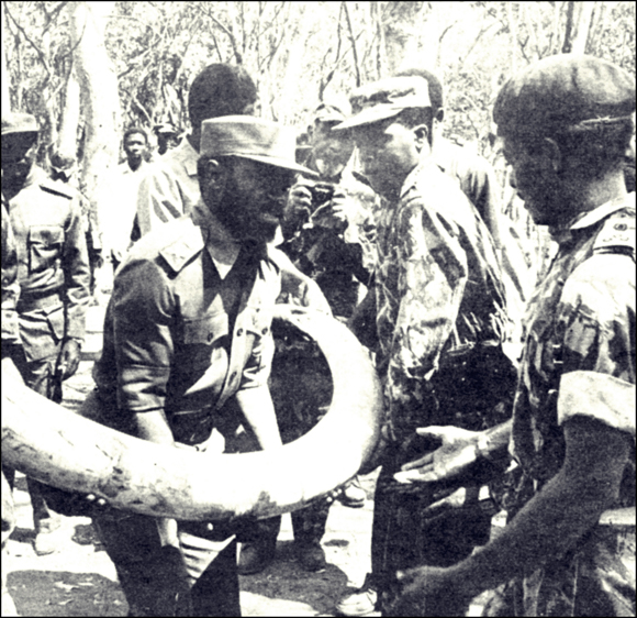 Samora lifting elephant tusk at Casa Banana 