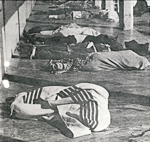 Victims of the Homoine Massacre