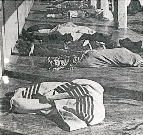 Victims of the Homoine Massacre
