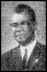 Makavi in middle age